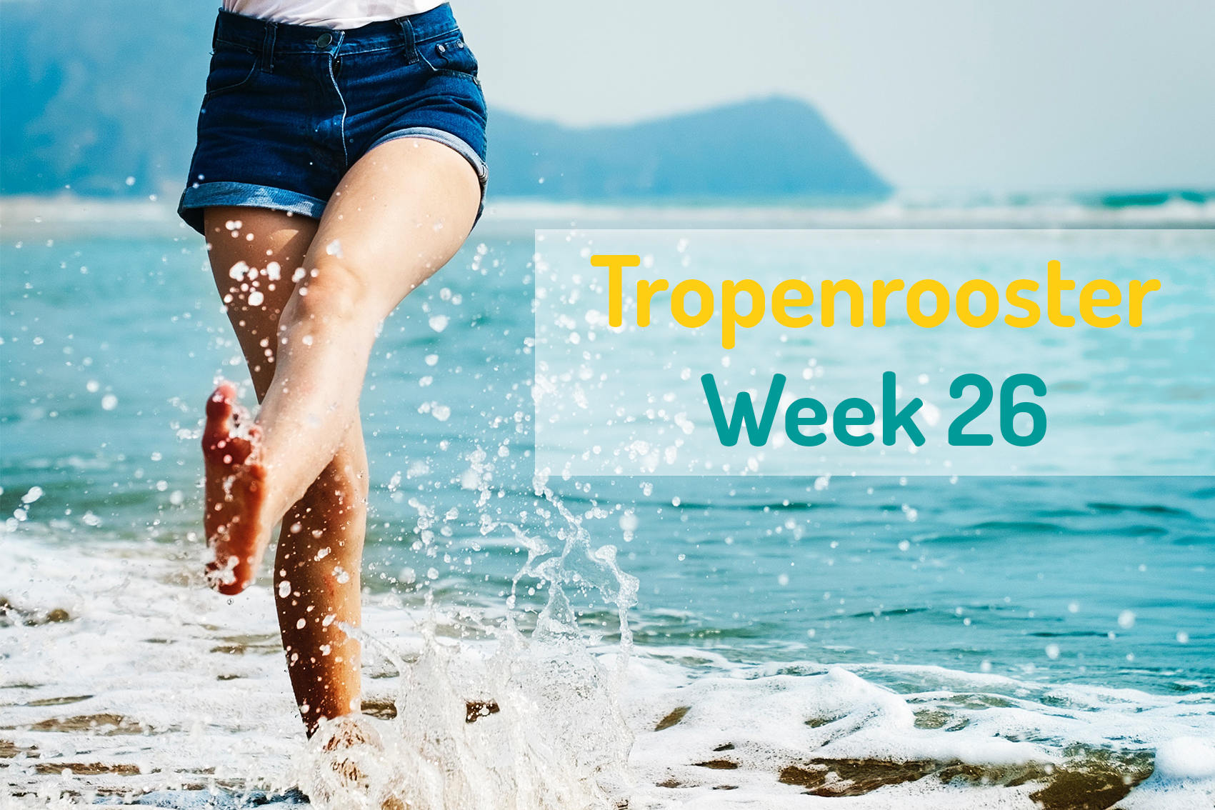 Lees meer over het artikel Tropenrooster week 26